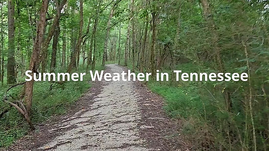 Summer Weather in Tennessee